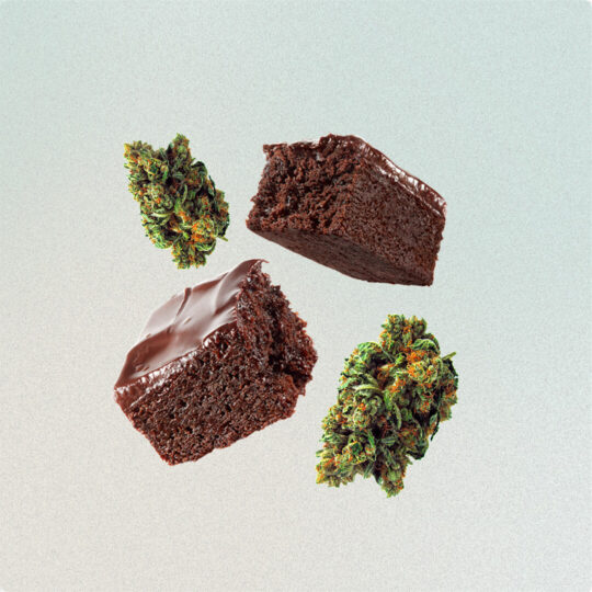 Chocolate Brownie